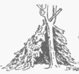 CHOZA AL RBOL (imagen del Escultismo para Muchachos)