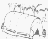 REFUGIO DE SAUCES (imagen del Manual de Supervivencia del Ejrcito de Estados Unidos)