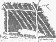 VVAC (imagen del Manual de Supervivencia del Ejrcito de Estados Unidos)